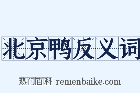 北京鸭反义词是什么意思的图片